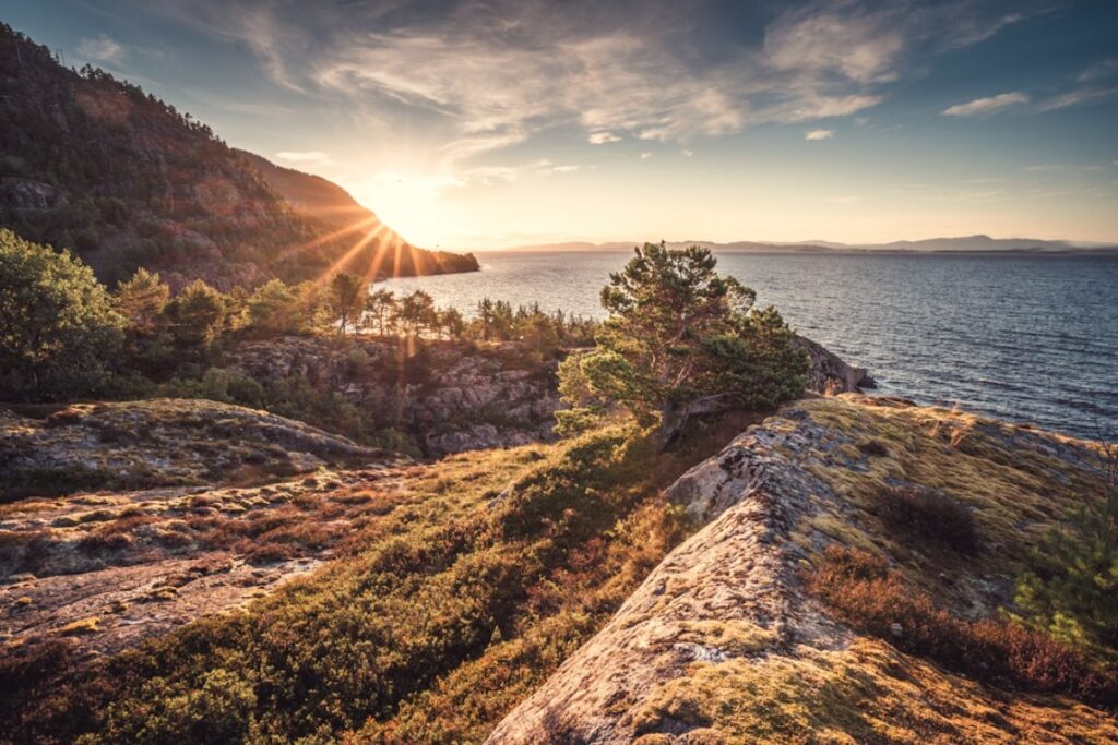Titelbild zu „Zwischen Fjord und Fjell: Norwegens einzigartige Flora und Fauna als Quelle der inneren Ruhe“