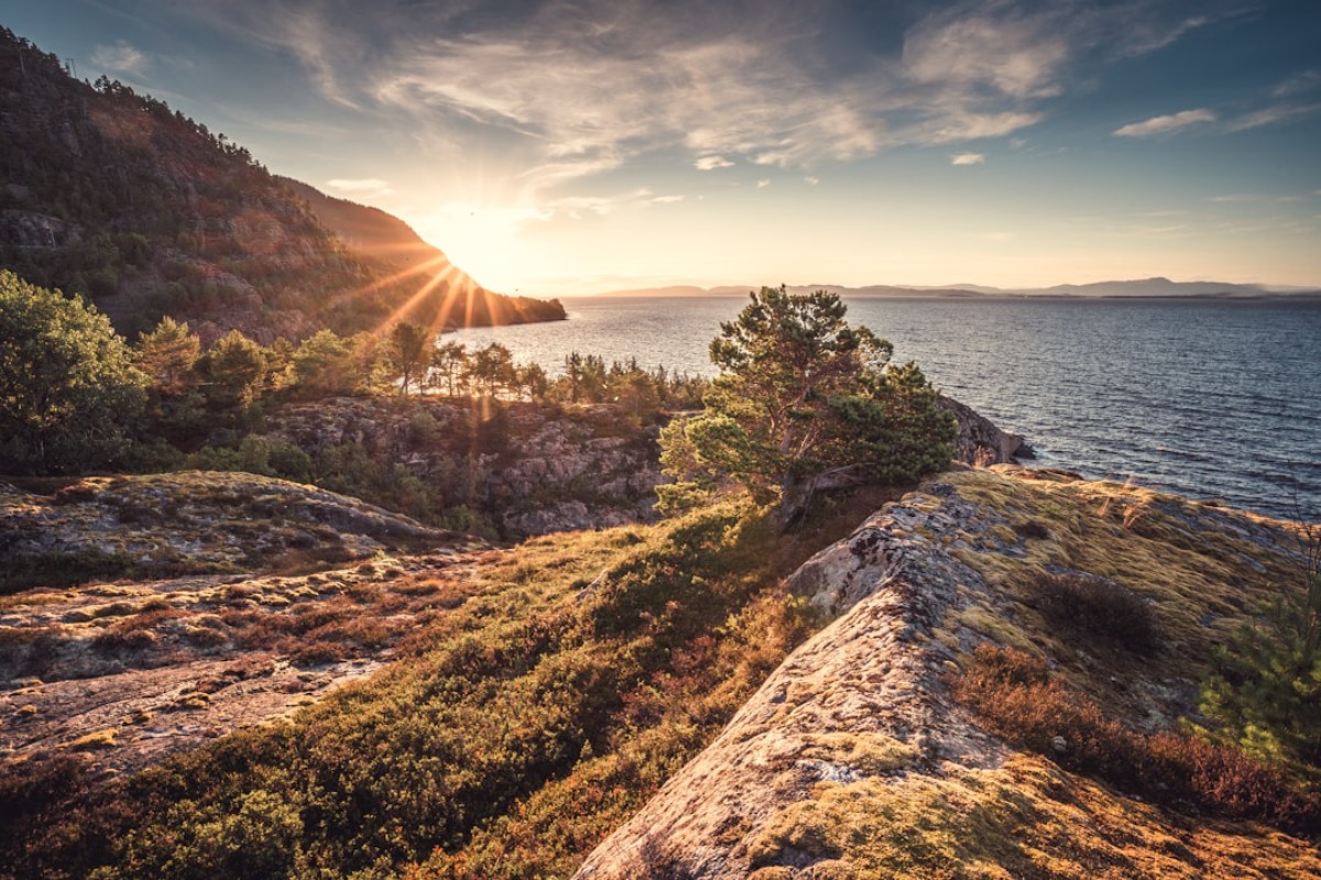 Titelbild zu „Zwischen Fjord und Fjell: Norwegens einzigartige Flora und Fauna als Quelle der inneren Ruhe“